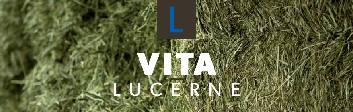 Lucernové seno dehydratované - VITA Lucerne